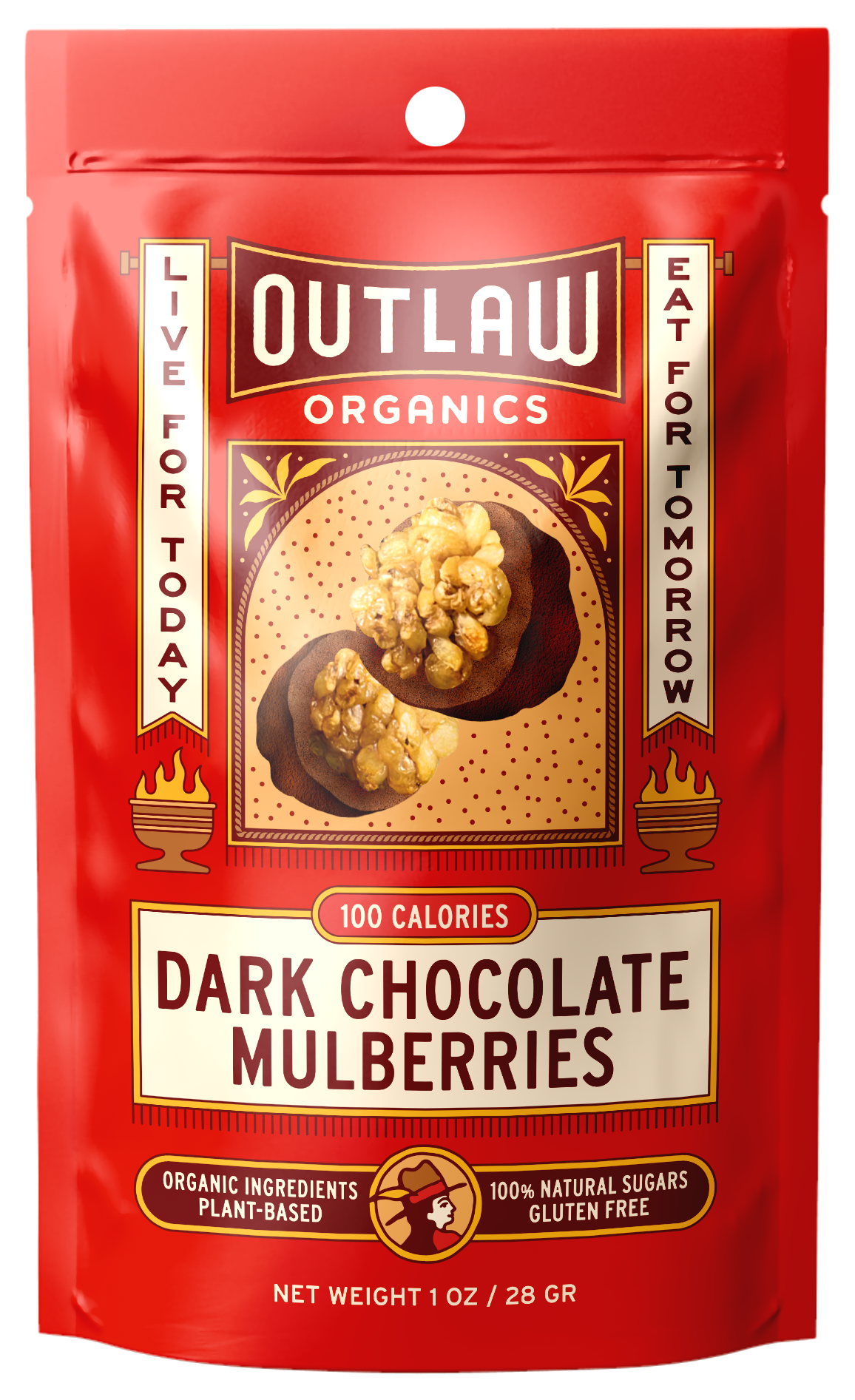 Dark Chocolate Covered Mulberries